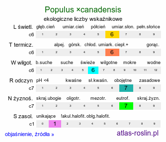 ekologiczne liczby wskaźnikowe Populus ×canadensis (topola kanadyjska)