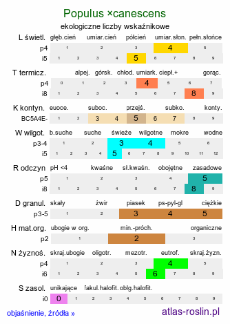 ekologiczne liczby wskaźnikowe Populus ×canescens (topola szara)