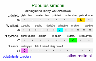 ekologiczne liczby wskaźnikowe Populus simonii (topola chińska)