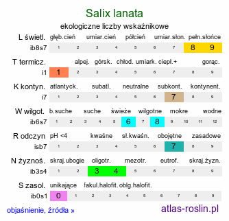 ekologiczne liczby wskaźnikowe Salix lanata (wierzba wełnista)