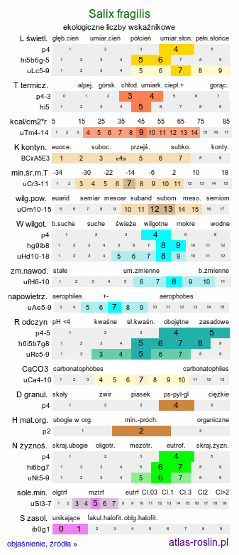 ekologiczne liczby wskaźnikowe Salix fragilis (wierzba krucha)