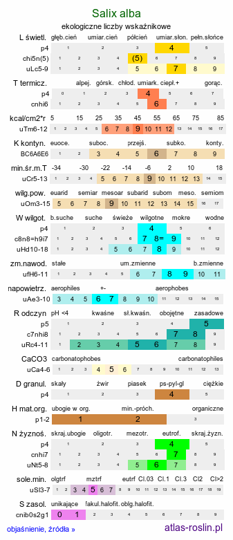 ekologiczne liczby wskaźnikowe Salix alba (wierzba biała)