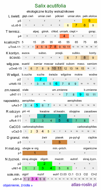 ekologiczne liczby wskaźnikowe Salix acutifolia (wierzba ostrolistna)