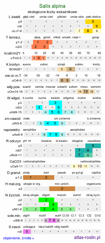 ekologiczne liczby wskaźnikowe Salix alpina (wierzba alpejska)