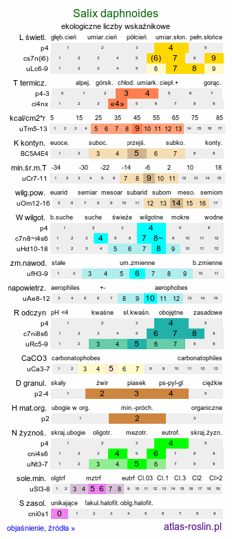 ekologiczne liczby wskaźnikowe Salix daphnoides (wierzba wawrzynkowa)