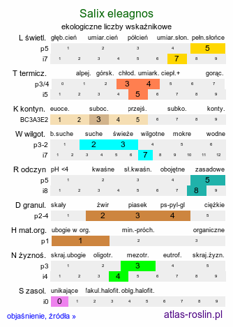 ekologiczne liczby wskaźnikowe Salix eleagnos (wierzba siwa)