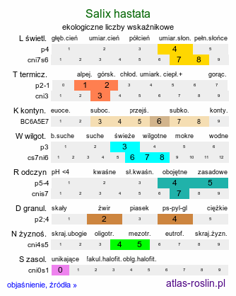 ekologiczne liczby wskaźnikowe Salix hastata (wierzba oszczepowata)