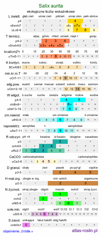 ekologiczne liczby wskaźnikowe Salix aurita (wierzba uszata)