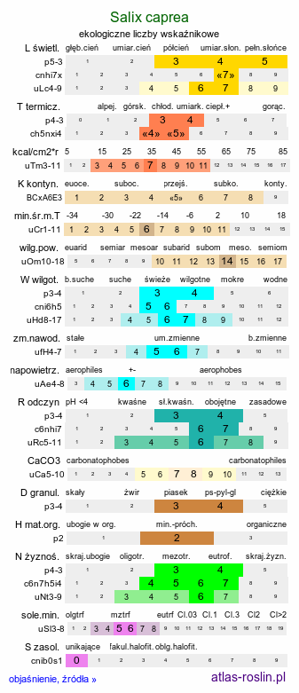 ekologiczne liczby wskaźnikowe Salix caprea (wierzba iwa)