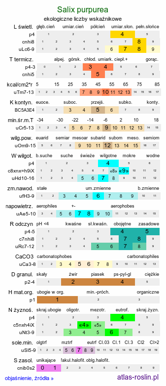 ekologiczne liczby wskaźnikowe Salix purpurea (wierzba purpurowa)
