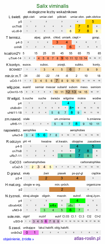 ekologiczne liczby wskaźnikowe Salix viminalis (wierzba wiciowa)