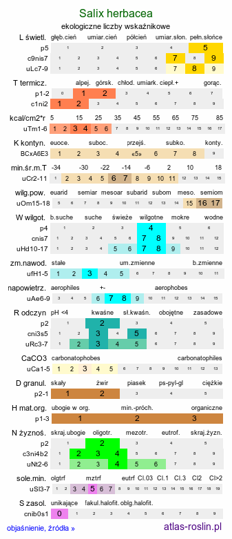 ekologiczne liczby wskaźnikowe Salix herbacea (wierzba zielna)