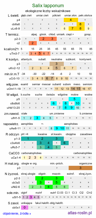 ekologiczne liczby wskaźnikowe Salix lapponum (wierzba lapońska)