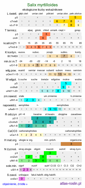 ekologiczne liczby wskaźnikowe Salix myrtilloides (wierzba borówkolistna)