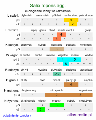 ekologiczne liczby wskaźnikowe Salix repens agg. (wierzba płożąca)