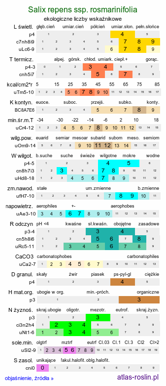 ekologiczne liczby wskaźnikowe Salix repens ssp. rosmarinifolia (wierzba rokita)
