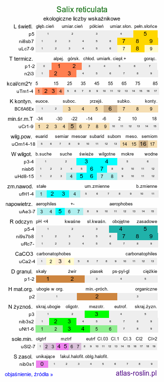 ekologiczne liczby wskaźnikowe Salix reticulata (wierzba żyłkowana)