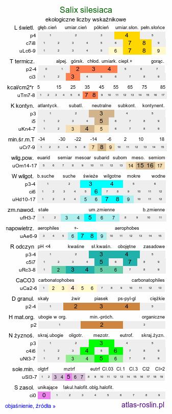 ekologiczne liczby wskaźnikowe Salix silesiaca (wierzba śląska)