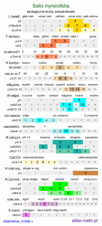 ekologiczne liczby wskaźnikowe Salix myrsinifolia (wierzba czarniawa)