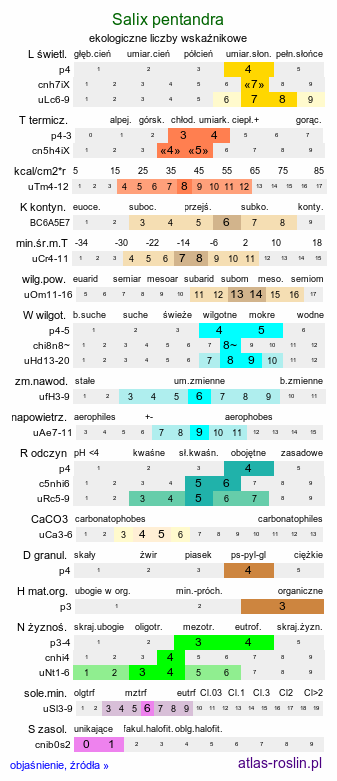 ekologiczne liczby wskaźnikowe Salix pentandra (wierzba pięciopręcikowa)