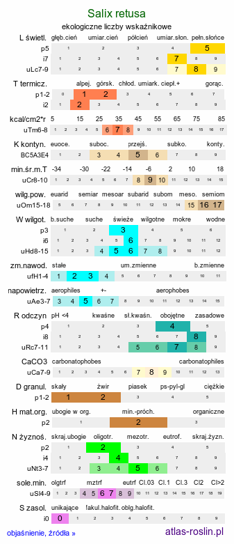 ekologiczne liczby wskaźnikowe Salix retusa (wierzba wykrojona)