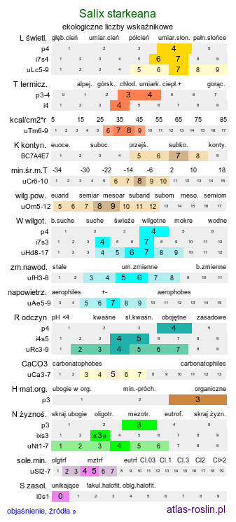 ekologiczne liczby wskaźnikowe Salix starkeana (wierzba śniada)