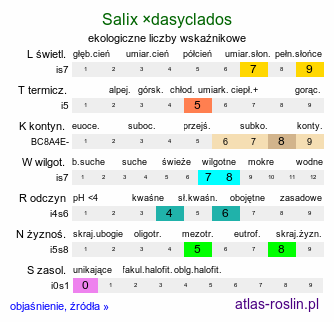 ekologiczne liczby wskaźnikowe Salix ×dasyclados (wierzba długokończysta)