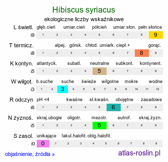 ekologiczne liczby wskaźnikowe Hibiscus syriacus (ketmia syryjska)