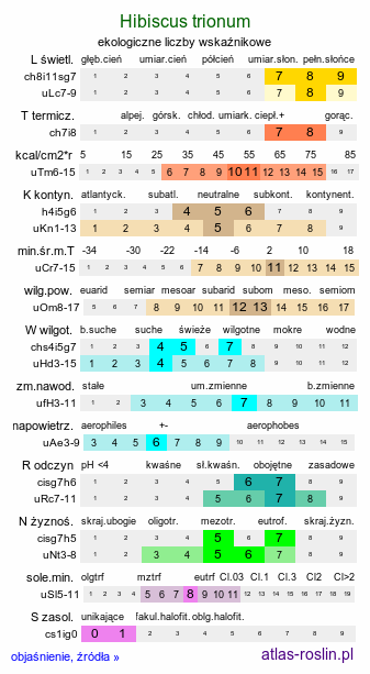 ekologiczne liczby wskaźnikowe Hibiscus trionum (ketmia południowa)