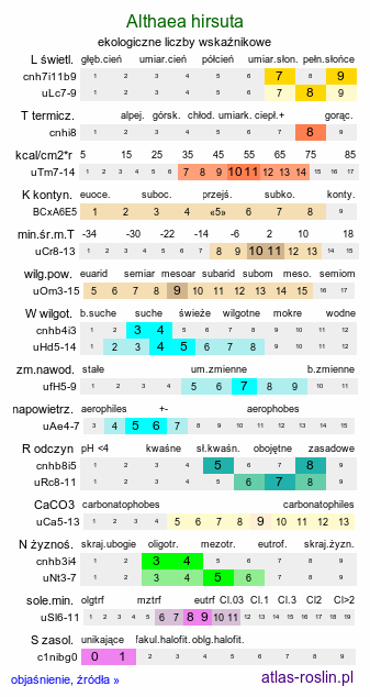 ekologiczne liczby wskaźnikowe Althaea hirsuta
