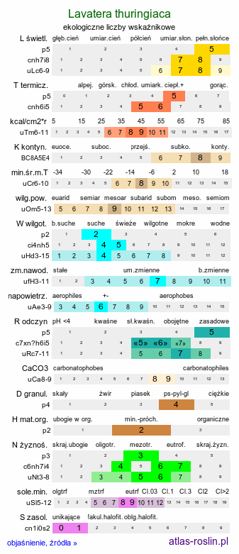 ekologiczne liczby wskaźnikowe Lavatera thuringiaca (ślazówka turyngska)
