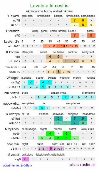 ekologiczne liczby wskaźnikowe Lavatera trimestris (ślazówka letnia)