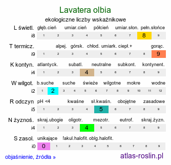 ekologiczne liczby wskaźnikowe Lavatera olbia (ślazówka olbijska)