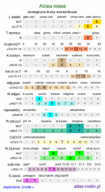 ekologiczne liczby wskaźnikowe Alcea rosea (malwa różowa)