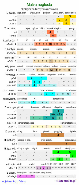 ekologiczne liczby wskaźnikowe Malva neglecta (ślaz zaniedbany)