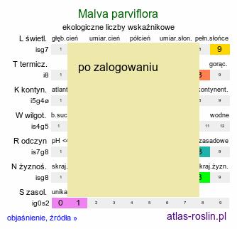 ekologiczne liczby wskaźnikowe Malva parviflora (ślaz drobnokwiatowy)