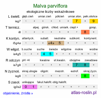 ekologiczne liczby wskaźnikowe Malva parviflora (ślaz drobnokwiatowy)