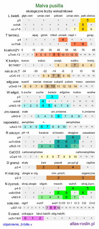 ekologiczne liczby wskaźnikowe Malva pusilla (ślaz niziutki)