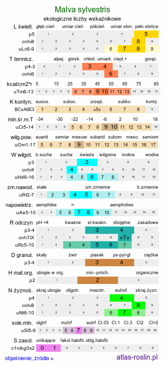 ekologiczne liczby wskaźnikowe Malva sylvestris (ślaz dziki)