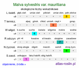 ekologiczne liczby wskaźnikowe Malva sylvestris var. mauritiana (ślaz maurytański)