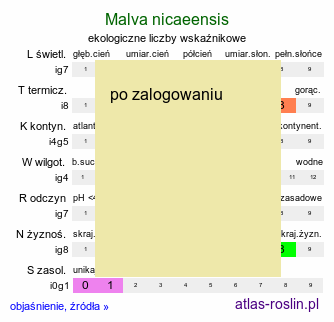 ekologiczne liczby wskaźnikowe Malva nicaeensis (ślaz nicejski)