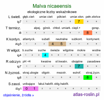 ekologiczne liczby wskaźnikowe Malva nicaeensis (ślaz nicejski)