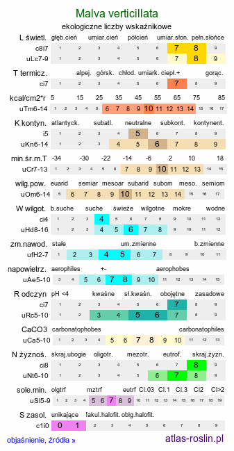 ekologiczne liczby wskaźnikowe Malva verticillata (ślaz okółkowy)