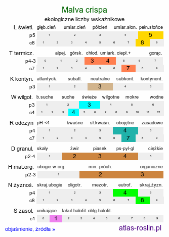 ekologiczne liczby wskaźnikowe Malva crispa (ślaz kędzierzawy)