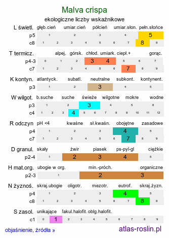 ekologiczne liczby wskaźnikowe Malva crispa (ślaz kędzierzawy)