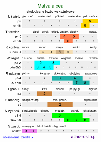 ekologiczne liczby wskaźnikowe Malva alcea (ślaz zygmarek)