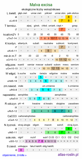 ekologiczne liczby wskaźnikowe Malva excisa (ślaz wycięty)