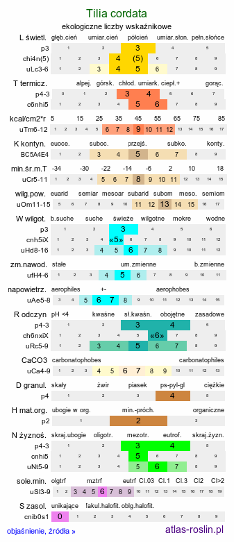 ekologiczne liczby wskaźnikowe Tilia cordata (lipa drobnolistna)