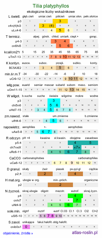 ekologiczne liczby wskaźnikowe Tilia platyphyllos (lipa szerokolistna)