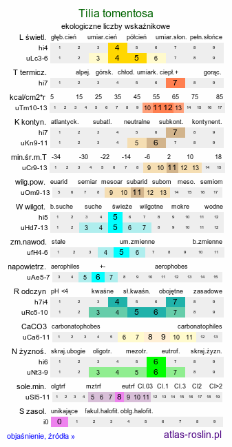 ekologiczne liczby wskaźnikowe Tilia tomentosa (lipa srebrzysta)